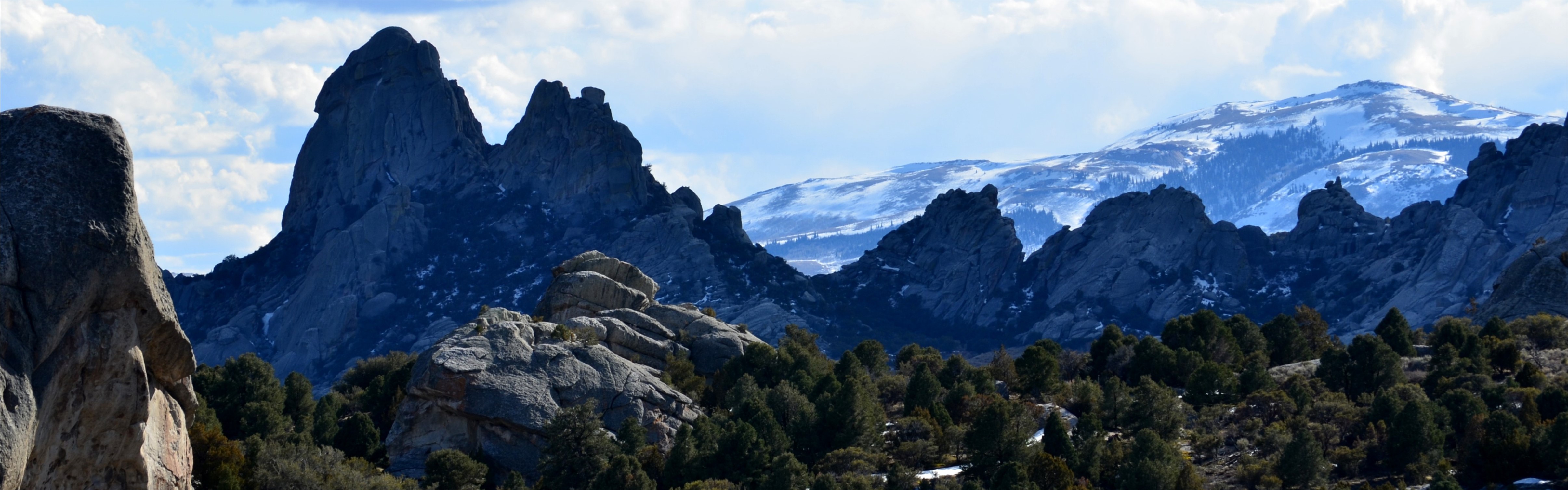 Heron Ecological, LLC