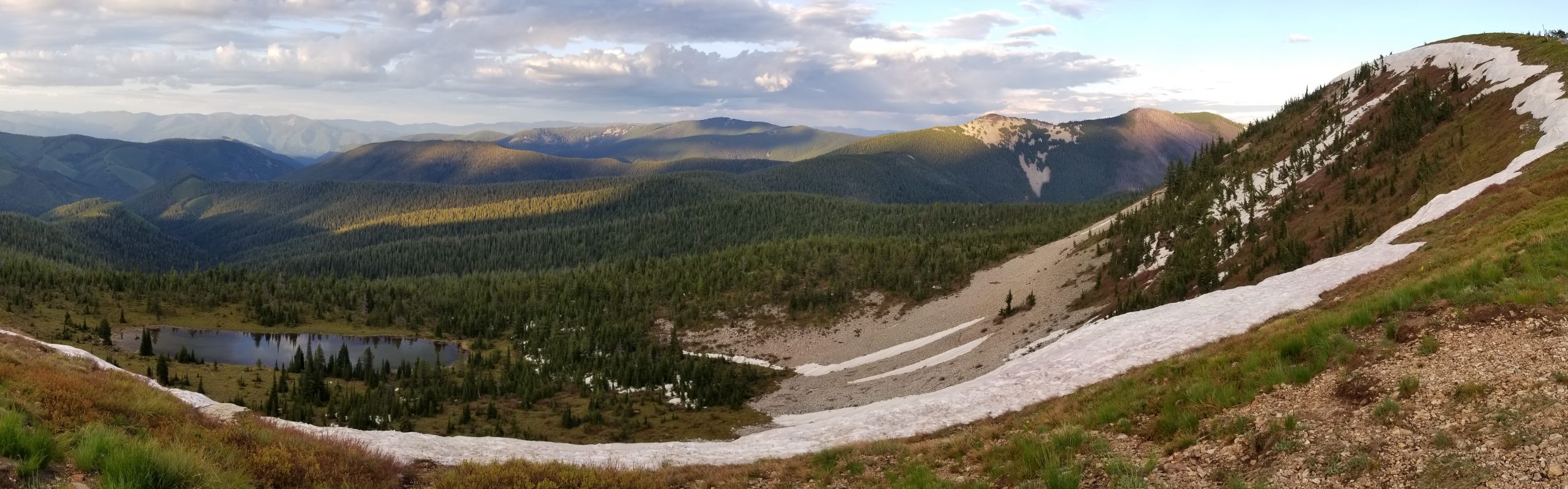 Heron Ecological, LLC