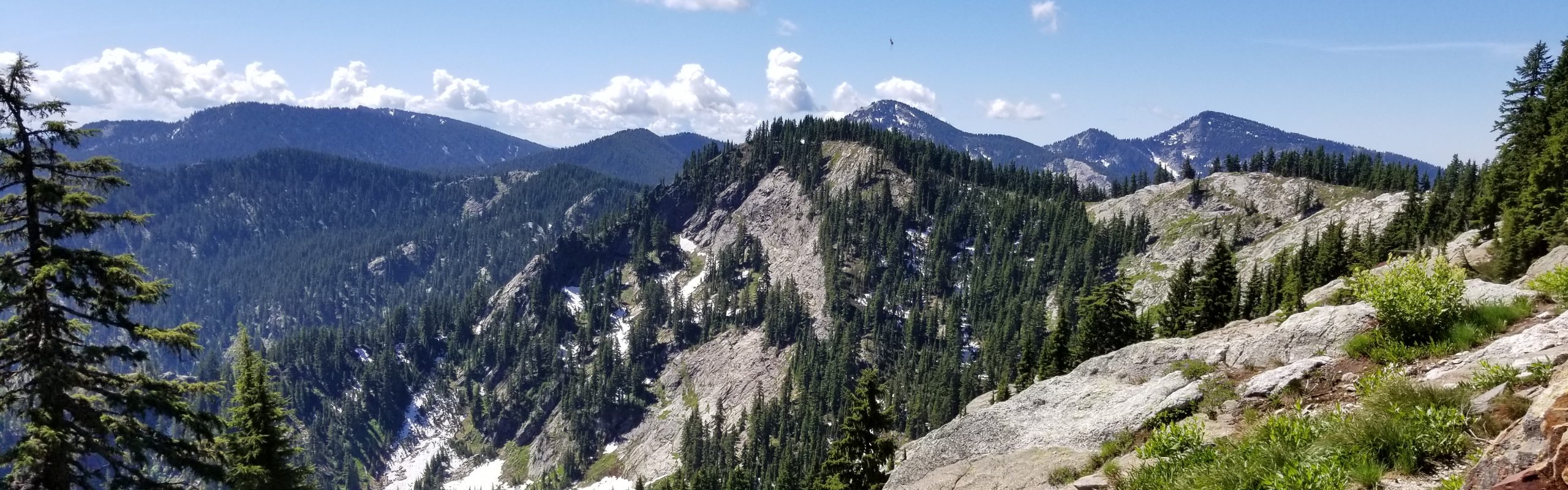 Heron Ecological, LLC