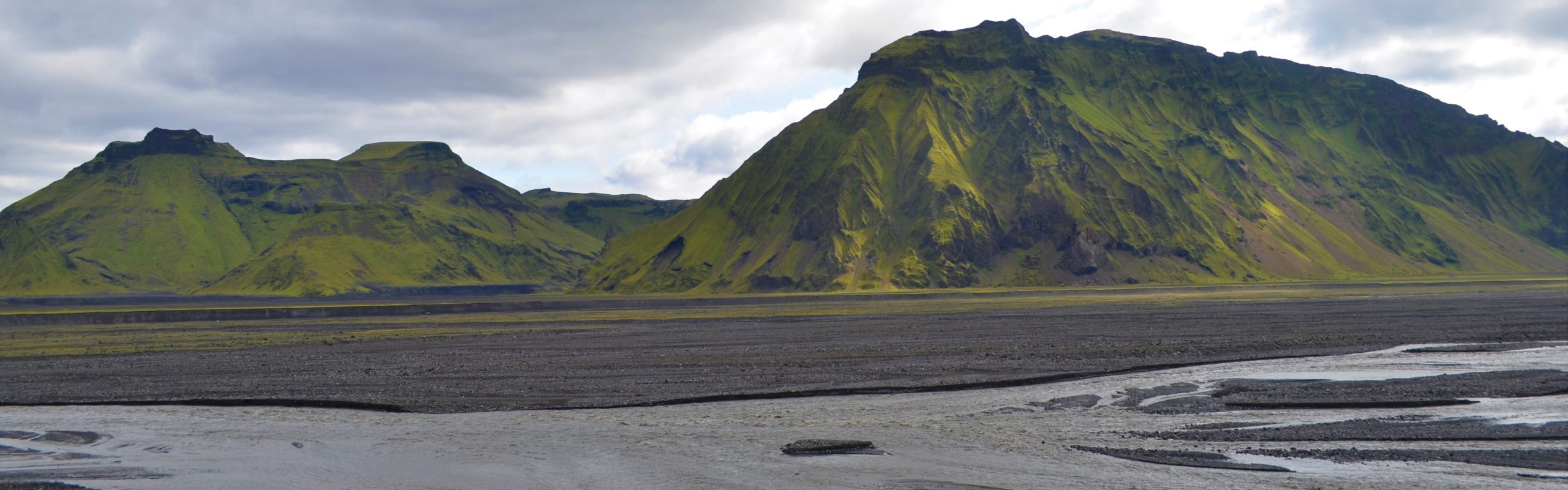 Heron Ecological, LLC